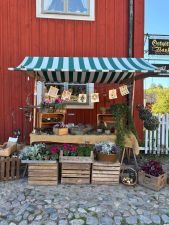 Schweden Foto 5.jpg